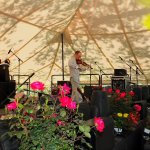 Casey Driessen at Old Settler\'s 2013 - photo © Ron Baker