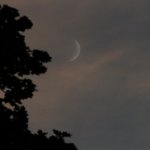 Bluegrass On The Grass (July 13, 2013) - photo by Frank Baker