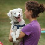 Bluegrass on the Grass (7/12/14) - photo by Frank Baker