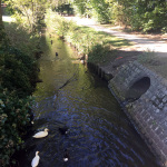 Grounds at the Bibliotheek Arendonk for the Po'Ramblin' Boys' Back To The Mountains Euro Tour 2016
