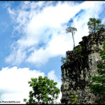 Beautiful day at Red Wing Roots 2016 - photo © G. Milo Farineau
