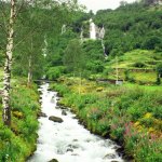 Taken during Wayne Taylor & Appaloosa's 2012 European tour