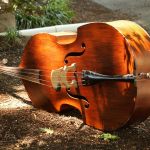 Lone upright bass waits for its owner at the 2016 Bluegrass Bluegrass on the Grass festival on the campus of Dickinson College - photo by Frank Baker