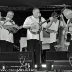 David Parmley & Cardinal Tradition at Wide Open Bluegrass 2016 - photo © Bill Warren