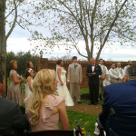 Everyone looks up as a flock of songbirds fly over the Sandker/Burke wedding (April 14, 2013)