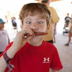 DelFest 2014 - photo by Gina Elliott Proulx