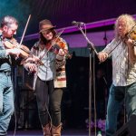 Jason Carter, Kimber Ludiker and Tim Carbone at DelFest 2014 - photo by Todd Powers