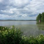 View from the house where Grasstowne is staying in Finland - photo by Justin Jenkins