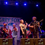 Darol Anger & Friends at the 2015 Grey Fox Bluegrass Festival - photo by Tara Linhardt