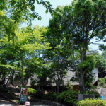 Site of KazCamp 2012