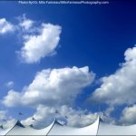 Lockn' 2014 - photo © G. Milo Farineau