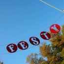 The Festy - photo © 2011 G. Milo Farineau