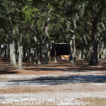 Site of the Newell Lodge Bluegrass Festival - photo © 2014 by Bill Warren