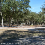 Site of the Newell Lodge Bluegrass Festival - photo © 2014 by Bill Warren