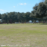 Site of the Newell Lodge Bluegrass Festival - photo © 2014 by Bill Warren