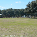 Site of the Newell Lodge Bluegrass Festival - photo © 2014 by Bill Warren