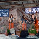 Trinity River Band at the 2015 NIBMA Spring Festival - photo by Bill Warren