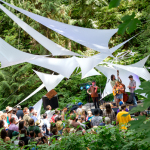 Woodsy stage at the 2014 Northwest String Summit - photo © Todd Powers