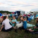 2016 Old Tone Roots Music Festival - photo © Tara Linhardt