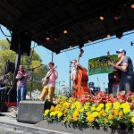 Green Mountain Grass at Old Settler's 2013 - photo © Ron Baker