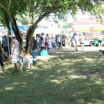 Pickin' In The Panhandle (9/9/12) - photo by Eric Tapp