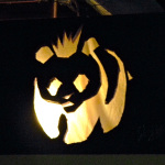 Bluegrass Ramble 2013 - photo by Daniel Mullins