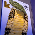 Bluegrass Ramble 2013 - photo by Daniel Mullins