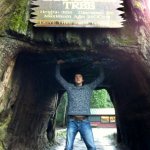 Patrick McAvinue exploring the California Redwoods touring out west with Audie Blaylock and Redline