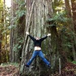 Russ Carson celebrating the California Redwoods touring out west with Audie Blaylock and Redline