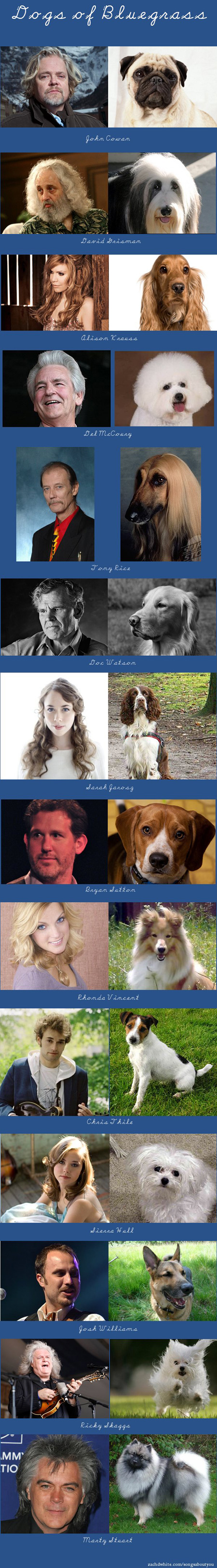 Dogs-of-Bluegrass The Dogs of Bluegrass - Zach White