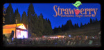 Strawberry Music Festival