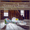 Living the Dream - The Spinney Brothers