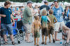 Mudwalking at DelFest 2016 - photo © Gina Elliott Proulx