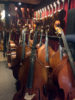 Bass and violin shop in Antwerp